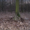 Velesův den 2007