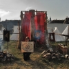 Wolin 2014