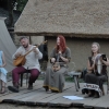 Wolin 2014