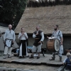 Wolin 2014